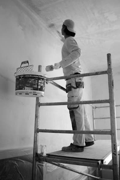 Pintura - servicio profesional
